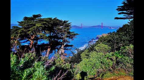 Captivating San Francisco: Where Magic Meets Reality